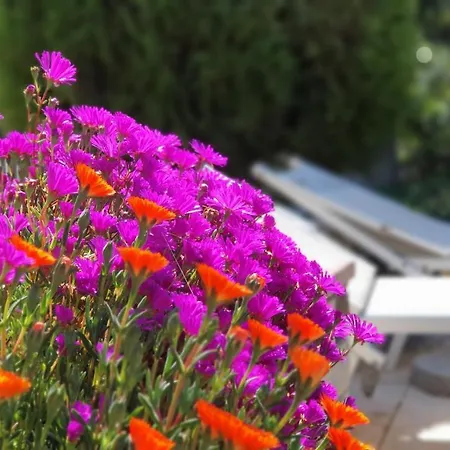 Affittacamere Apulia Time Bari