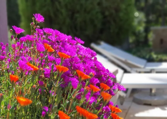 Maison d'hôtes Apulia Time Bari