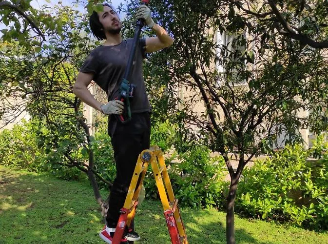 Apulia Time Πανσιόν *