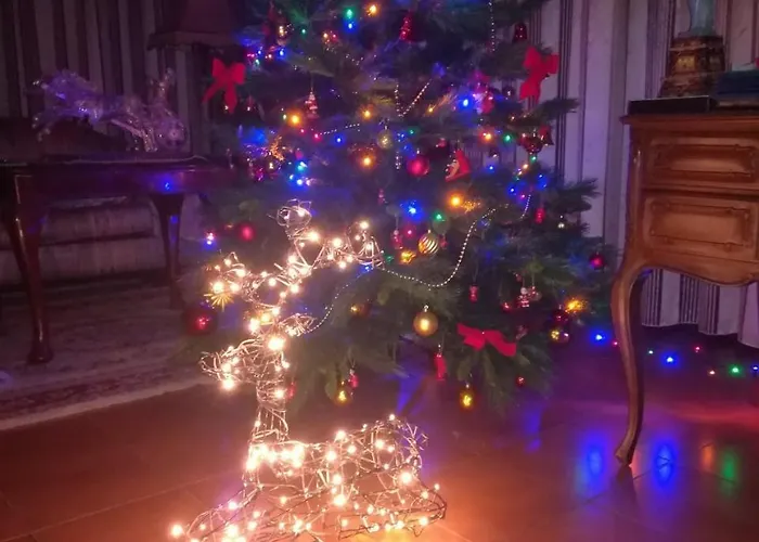 Apulia Time Maison d'hôtes Bari