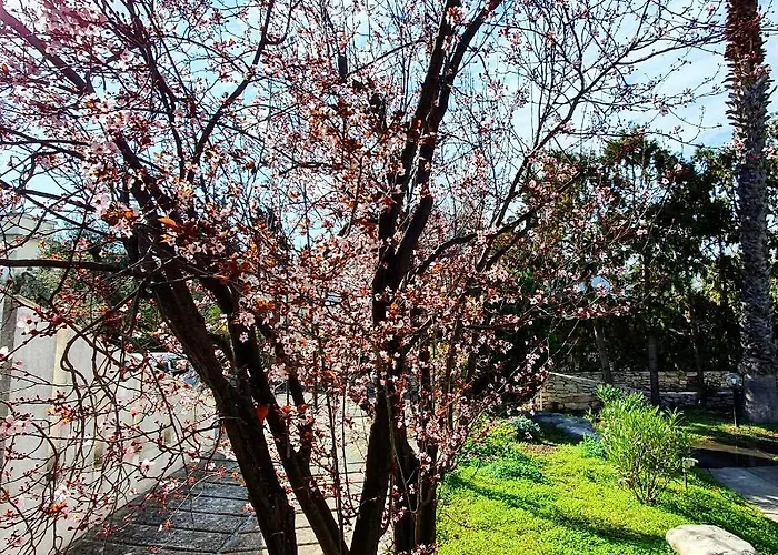 Apulia Time Maison d'hôtes