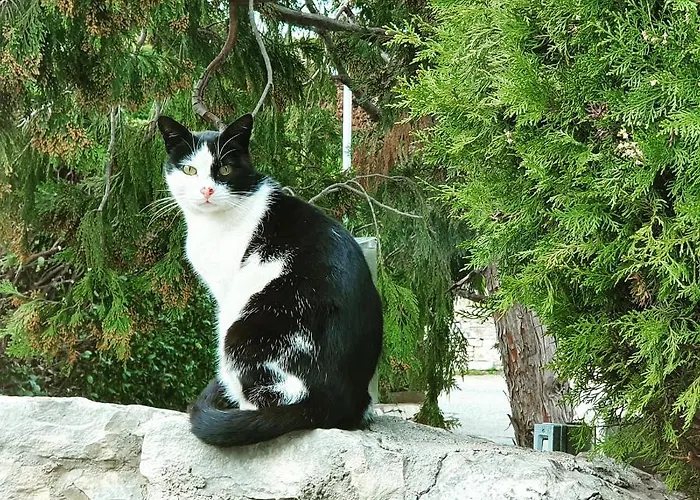 Apulia Time Maison d'hôtes