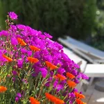 Pensión Apulia Time Bari