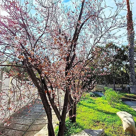 게스트하우스 Apulia Time 바리