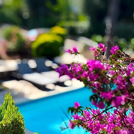 Apulia Time Guest house