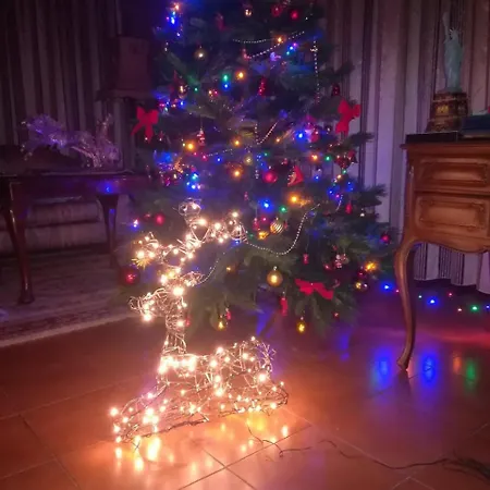 Apulia Time 招待所 巴里