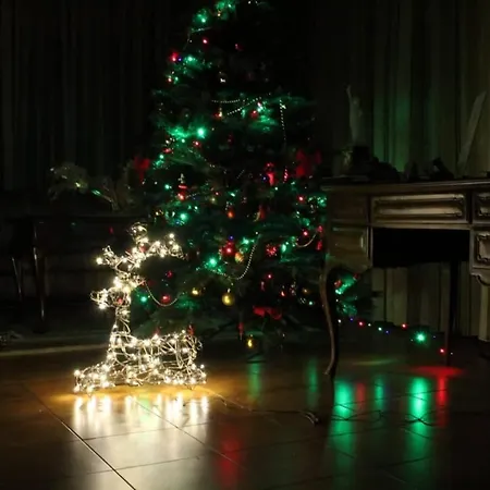 招待所 Apulia Time 巴里